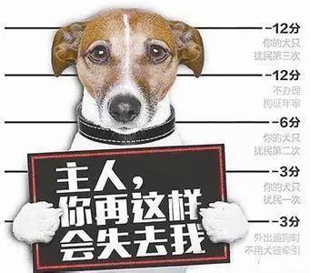 ⭐买JD纯手工号
去哪买能包赔